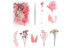 Heilok Getrocknete Blumen Natürliche Gepresste Blumen, Gemischte Trockenblumen zum Basteln, Getrocknete Blumen für DIY Epoxidharz Handwerk Scrapbook Dekoration (Rosa