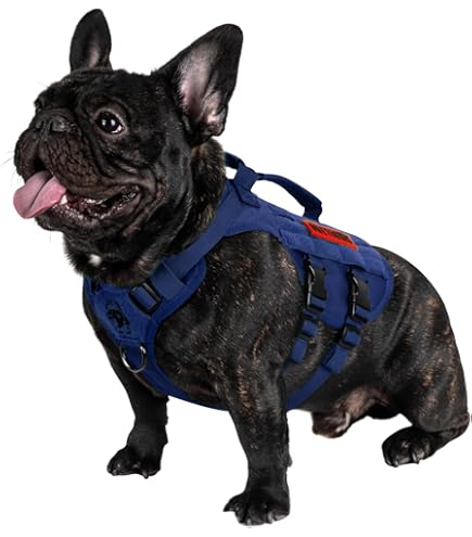 Arnes Para Perro Arnés Mochila Kurgo Cascade Para Perros