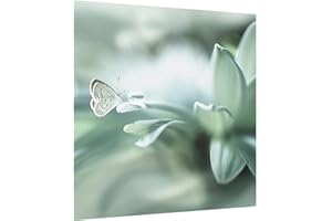 Bilderwelten Pannello Paraschizzi Cucina Vetro Farfalla E Gocce di Rugiada in Verde, 59x60 cm