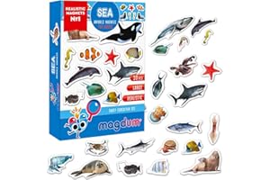 MAGDUM Imanes Nevera niños Animales Marinos Foto - 30 Grandes imanes Bebes - Animales de Juguete - Juguetes niños 3 años - Juegos educativos niños 3 años - Nevera Juguete - Iman de Nevera Infantil