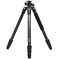 Benro GoPlus Folding Leg Travel S2 Carbon Fibre 4 section twist
