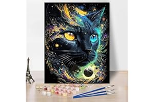 TISHIRON Malowanie po numerach, czarno-biały zestaw, czarny kot, dzieło sztuki typu „zrób to sam”, abstrakcyjne malarstwo kosmiczne, dla mężczyzn i kobiet, prezent do salonu, sypialni, 40 x 50 cm