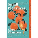 Small Pleasures: Longlisted for the Women's Prize for Fiction 2021