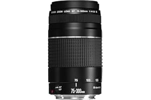 Canon 75-300 mm f/4-5.6 III - Objetivo para Canon (Zoom óptico 4X,diámetro: 58mm), Color Negro [Versión española]