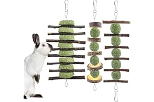 ERKOON Kaninchen Hamster Kauspielzeug, Hasen Beschäftigung Kleintiere Natürliche Timothy Heu Graskuchen Apfelstäbchen Zahnpflege Leckerlis Chinchilla Meerschweinchen Rennmäuse Kauen Molar Zubehoer