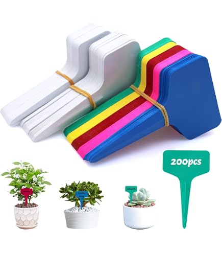 La Cordeline 6 labels with plant marking, 18 x 0.3 x 2 cm, S/bag, labels, wood, 18 x 0.3 x 2 cm, ETBMPA