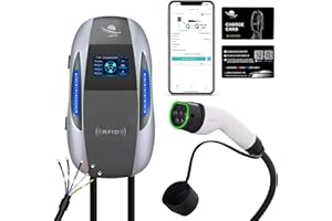 LEISHENG ENERGY Wallbox 22 kW 32A Colonnina Ricarica Auto Elettrica,trifase tipo 2 ，6 m cavo,IP65 da esterno