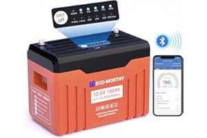 ‎ECO-WORTHY ECO-WORTHY LiFePO4 12V 100Ah mit LED-Display, Lithium Batterie 12V 100ah mit BMS Low Temperature Schutz und Max. 15000 Zyklens,1280Wh LiFePO4 12V für Wohnmobil,Solarpanel