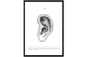 Nacnic Stampa Artistica Moderna di Anatomia in Bianco e Nero con Immagini del Corpo Umano. Biologia con Dettaglio Orecchio, udito. Scienze. Medicina Generale- Medico ospedali.