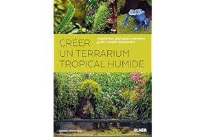 Créer un terrarium tropical humide