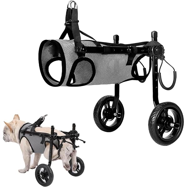 All-Terrain Hunderollstuhl Für Hinterbeine – Verstellbar, Leicht, Für Mittelgroße Bis Große Hunde