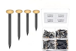 LULUXINXIN 130 Szt Gwoździe do Ścian Betonowych, Zestaw Gwoździ ze Stali do Betonu, Komplet Gwoździ, Gwoździe do Wieszania Obrazów, Asortyment Gwoździ Cegły Gips Drewno, Zestaw Gwoździ Stalowych (20/25/30/40mm)
