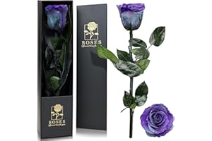 QHHENTOO Infinity Rose in Geschenkbox, Ewige Rose mit Stiel Geschenke für Frauen Echte Rosen Eine Konservierte Blume für Mama Damen Freundin zum Geburtstag Valentinstag Weihnachten - Sternenhimmel lila
