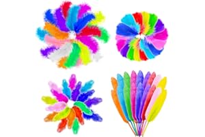 YICH Plumes Colorées 300 Pièces Plume Decoration 5-15cm Plumes en Naturelles pour Loisirs Creatifs Decoration de Fête Centres de Mariage d'anniversaire