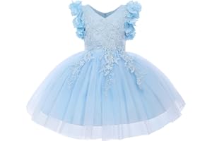 IWEMEK Robe Fille Mariage Princesse sans Manche avec 3D Fleur Dentelle Broderie Tutu Tulle Courte Petite Enfant Demoiselle d'honneur Soirée Anniversaire Fête Baptême Bal Cérémonie 2-12 Ans