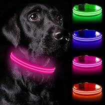 Nepfaivy Leuchthalsband Hund - USB Aufladbar Wasserdicht