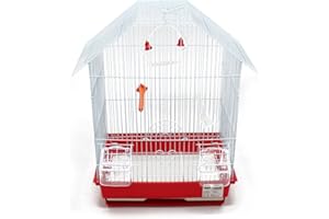 BPS BUENA PET SHOP BPS Bird Cage Metal con Feeder Drinker Swing Jumper Color Bucket invia a Caso 34,5 x 28 x 46 cm BPS-1152