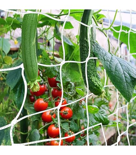 Klimnet, komkommers, 5 x 1,8 m, klimhulp, komkommers met 50 kabelbinders, klimplanten, ranknet, tomaten, bloemen en andere groenteplanten