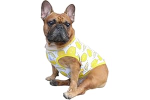 iChoue T-shirt 100 % coton respirant avec motif bouledogue français pour Halloween, vêtements mignons pour chiens, gilets, débardeurs, chiot, petit chiot terrier de Boston anglais, citron, taille M