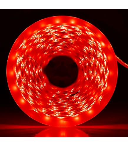 Mextronic LED Streifen 3528 Kaltweiß (6000K) – 5 Meter, 48W, 24V, IP44, Dimmbar, 120 LEDs/m