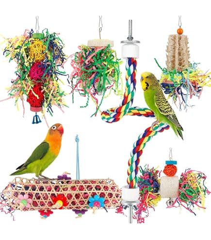Vind papagaaien vogelstandaard op - februari 2026