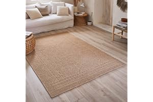 Nazar Tapis Nature, Tapis Naturel Boheme, Tapis Aspect Jute, Tapis Salon, Chambre, Couloirs, Tapis ExtRieur, Couleur Naturelle (60x90 cm, 8729 Beige)