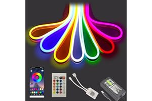 Balabaxer RGB striscia LED neon, 16.4ft / 5m 12V DC 600 SMD2835 LED luce impermeabile della corda della decorazione domestica interna ed esterna (5m, RGB)