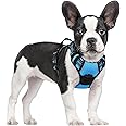 rabbitgoo Dog Harness Small Dog No Pull Pet Harness with 2 Leash Clips, Adjustable Soft Padded Pet Vest, Reflective No-Choke with Easy Control Handle for Training or Walking, Baby Blue, S