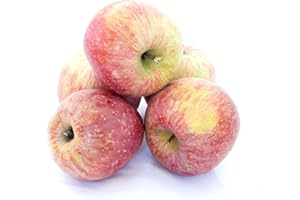 ‎LAMERA Äpfel Fuji aus Deutschland/Bodensee leckerer süßer saftiger Apfel knackig und fest Speiseapfel Tafelapfel 10 KG