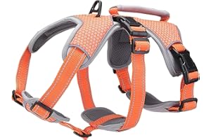 Belpro - Arnés de Apoyo Multiusos para Perro, antifuga, sin tirón, Reflectante, Ajustable, con Mango Duradero, arnés para Perros Grandes y Activos (Naranja, S)