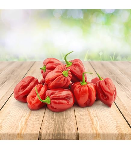 25 Graines De Piments Antillais Habanero Légumes Jardins - Semences Paysannes