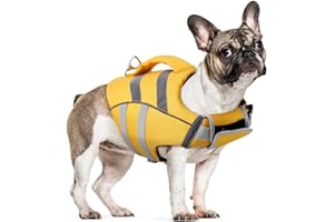 KATZINST Gilet de sauvetage pour chien - Réglable - Avec poignée - Pour la natation, le surf, le bateau