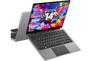 BVATE Ordenador portátil 14 Pulgadas N4020 hasta 2,8 GHz Portátil 8GB LPDDR4 RAM 256GB SSD Soporte 1TB SSD Expansión portatil 2.4G+5G WiFi BT4.2 USB, WiFi, Mini-HDMI, 1920*1080 IPS HD Pantalla-Gray-B