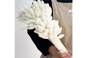 SONGJUM 100 Pezzi Arredamento Di Bouquet Secchi Phalaris Secchi Erba Naturale Pampas Soffice Erba per Decorazione per La Casa Decorazione Del Matrimonio Decorazione Di Decorazioni Floreali (Bianco)