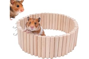 Scala da Arrampicata Rianpesn 2 in 1 per Criceti - Ponte Stabile, Flessibile e Multifunzionale per Topi Con Recinto