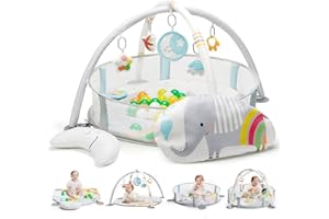 Lupantte 4-in-1 Baby Play Gym, Activity Gym Ball Pit with Detachable Anti-Slip Thickening Tummy Time Mat with Sensory Toys for Newborn Infant Toddler to Develop Motor&Cognition,Include 40 Balls