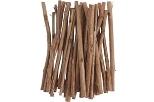 SUPVOX 100Pcs 10CM Bastoncini di Legno per Lavoretti Sai da Te