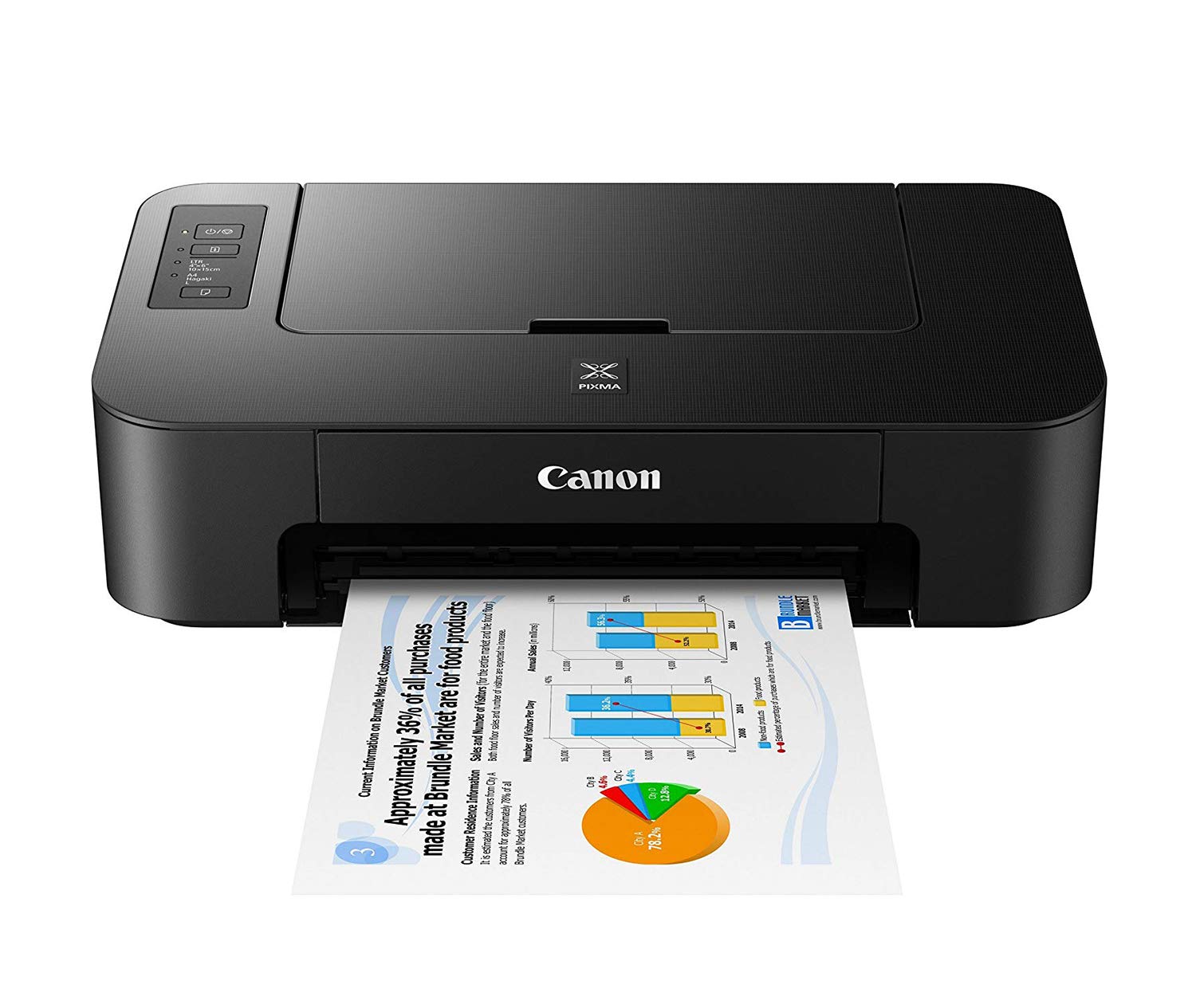 Canon Pixma TS207 Single Function Inkjet Printer (Black)