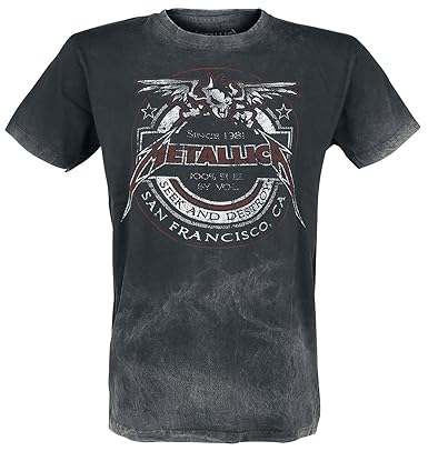 Résultat de recherche d'images pour "générique metallica seek and destroy t-shirt noir/gris"