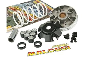 Malossi Multivar 2000 Variator-Kit für Piaggio & Vespa 50cc 2-Takt ab 1998 - Leistungssteigerung & Hochwertige Verarbeitung für optimales Fahrerlebnis