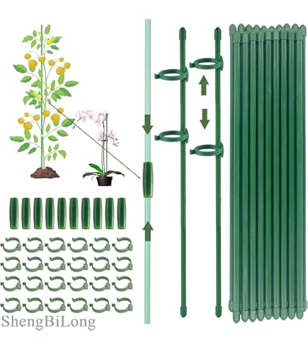 Relaxdays Plantensteun Tomaten - Set Van 6 - Plantenklimrek Metaal Klimplantensteun Rond