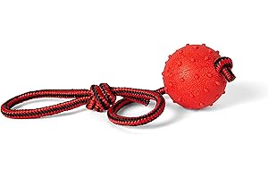 FUNKY PLANET Giochi Per Cani Palla Per Cani Indistruttibile - Accessori Per Cani Palline Cane - Giochi Interattivi Per Cani Per Le Delizie Del Cane - Palla Per Cani Gomma Da Masticare E La Pulizia Dei Denti