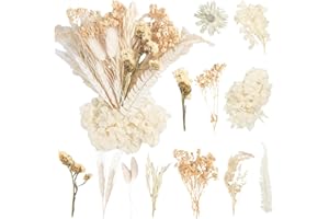 ‎LAUMOE LAUMOE Trockenblume Beige, Deko Blumen Pampasgras Klein Getrocknete Blumen Trockenblumen Zum Basteln Set Trockenblumen Frühling Bunt für DIY Hochzeitsdeko Wohnkultur