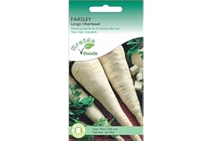KRAIDO SEEDS Parsley (Root) Seeds for Planting UK - Lange Oberlaaer - 500 Seeds