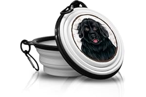 POWER GIFT Terre Neuve Nouvel Écuelle Pliable et Portable avec Mousqueton pour Les déplacements. Gamelle pour Animaux de Compagnie. Pratique et Unique
