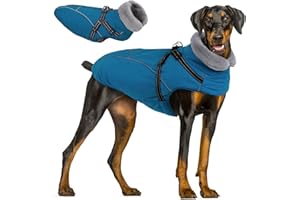 QUEENMORE Manteau Chien Imperméable, Manteaux d'hiver pour Chiens, Vêtement Chaud Berger Allemand/Labrador/Husky/Golden Retriever