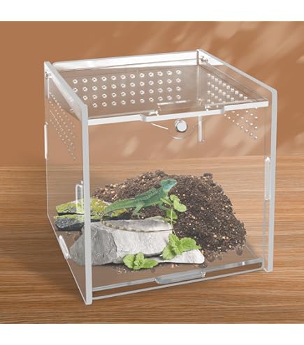 Acryl-Terrarium Für Springspinnen & Kleine Insekten (7,6x7,6x15,2cm) - Wasserdicht Mit 2 Türen & Magnetischem Verschluss