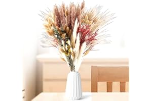 WDJLNZB 111 Piezas Natural Pampas Secas Decoracion, Ramo Plumas Flores Secas Decoracion, Hierba de Pampa Esponjosas para Decoracion Boho Fiestas Boda Hogar Salon
