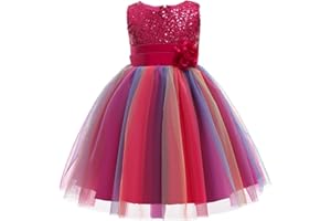 M MUNCASO Mädchen Prinzessin Kleid Pailletten Tüll Blume Regenbogen Runder Kragen Ärmelloses Abendkleid Geburtstagsfeier Hochzeit Brautjungfer Mädchen Abendkleider Kleinkind Baby Alter für 2-13 Jahre
