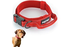 PetTec Obroża dla psa wykonana z neoprenu i nylonu, obroża z uchwytem, dla małych i dużych psów, miękko wyściełana (S-XL), wyjątkowo wytrzymała i wodoodporna, regulowana, zestaw obroża i smycz